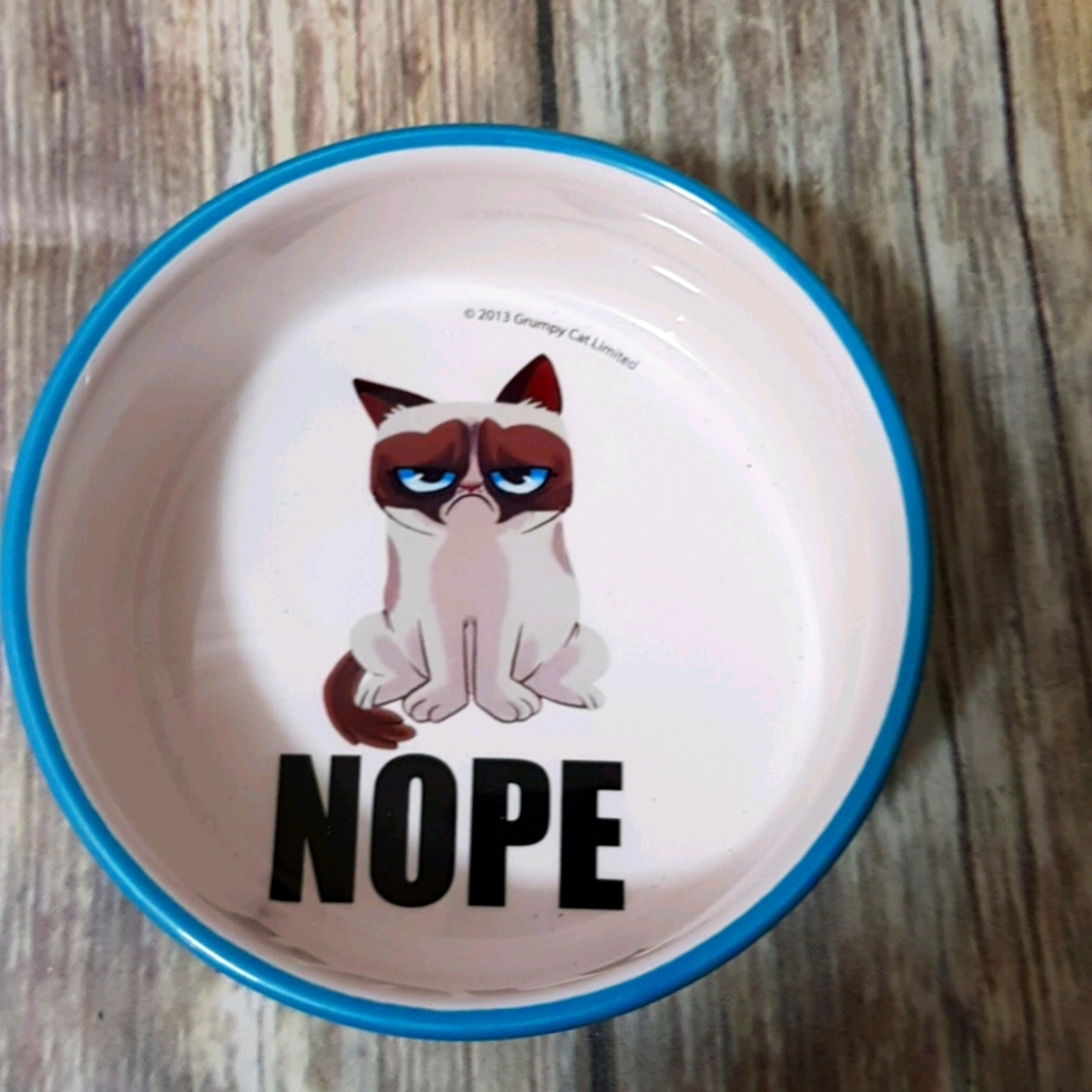 NWOT Grunpy Cat cat dish